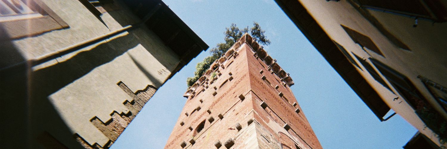 Manon Carpentier banner