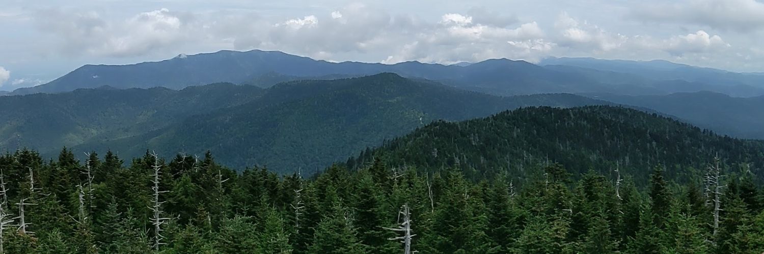 pdoner1's profile banner image