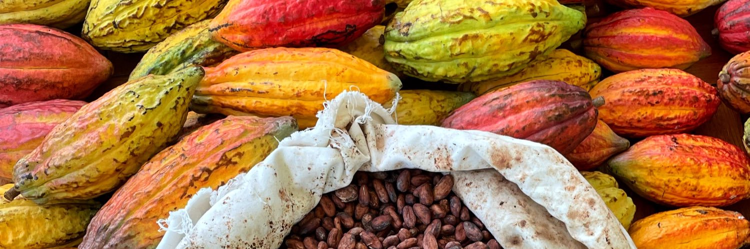 DARÏKU CHOCOLATIER banner