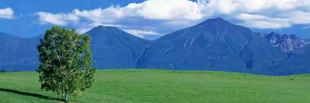 做喜欢的事 banner