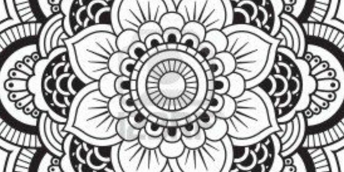 carmenmcook92's profile banner image