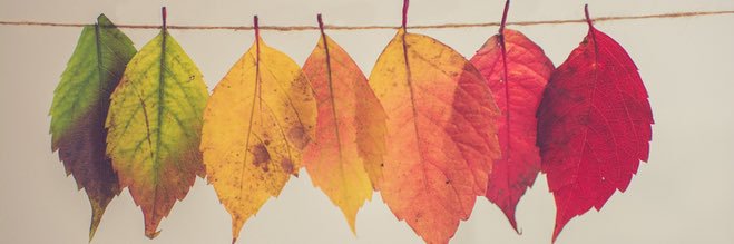 Fay 😷🇺🇦🌻🇺🇸 banner