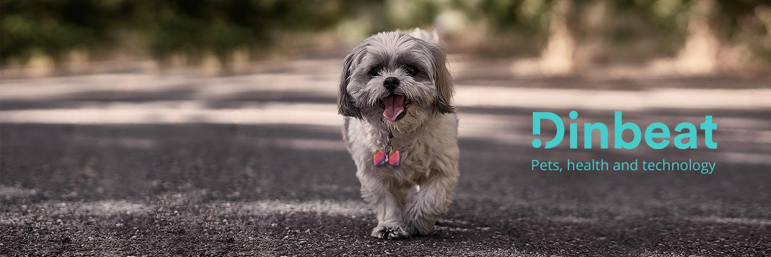 Dinbeat Home Devices banner