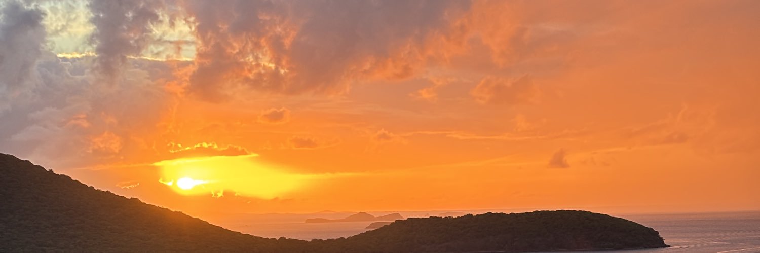 lianesis's profile banner image