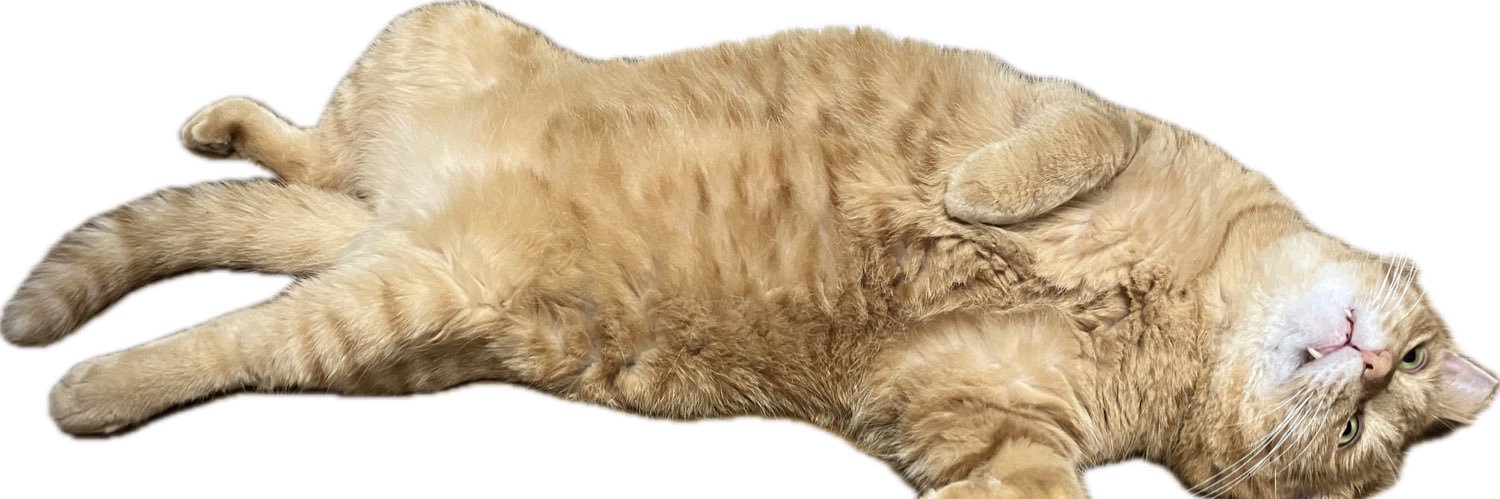 和藤 新　LoLネタ18時 banner