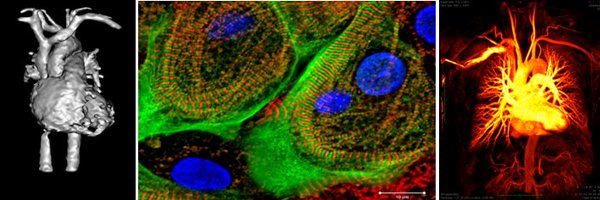 BernCVRC Profile Banner