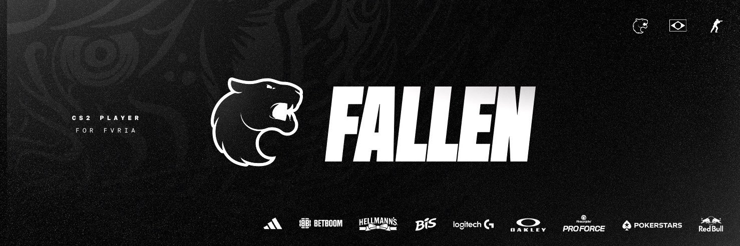 FalleNCS's profile banner image