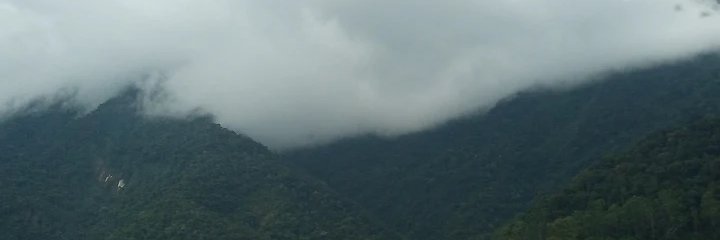 Alessa Brasil banner