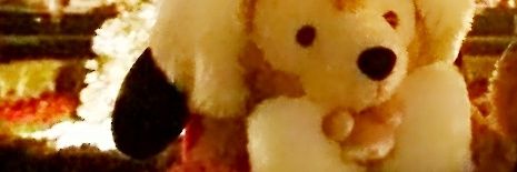 yu_ma704's profile banner image