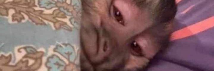 AreizaSebastian's profile banner image