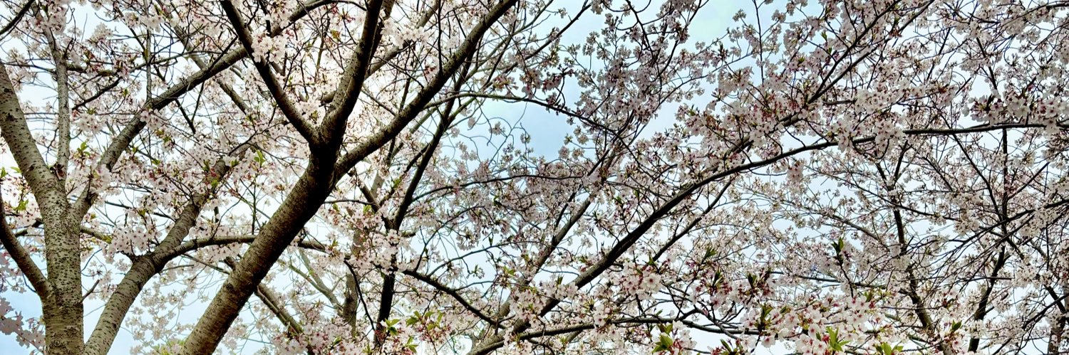 みぃ banner