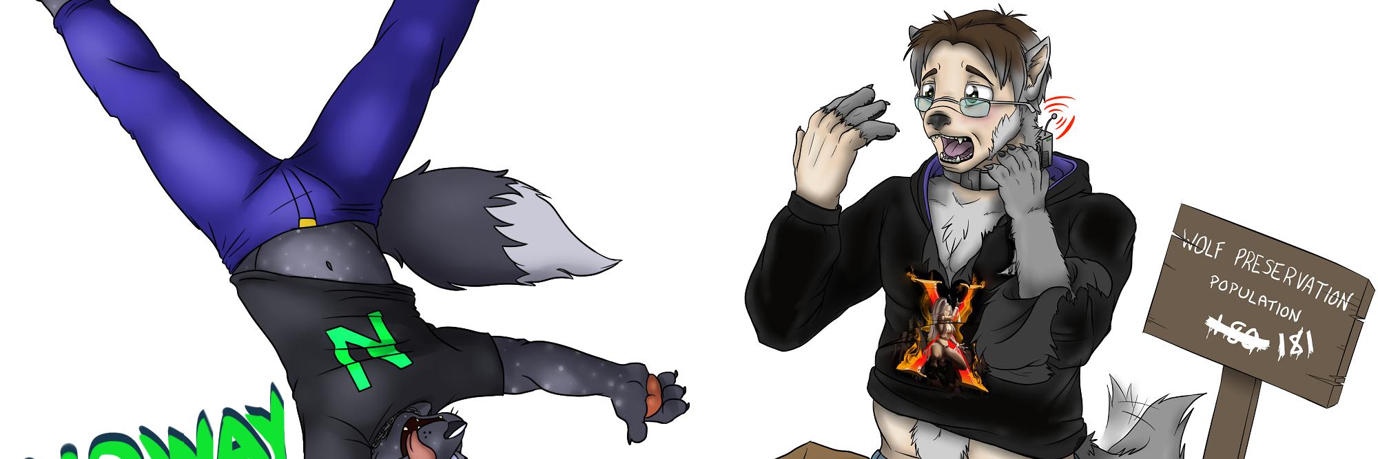 NoWayWolfy's profile banner image