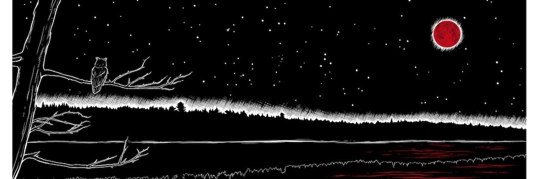 smturrell's profile banner image