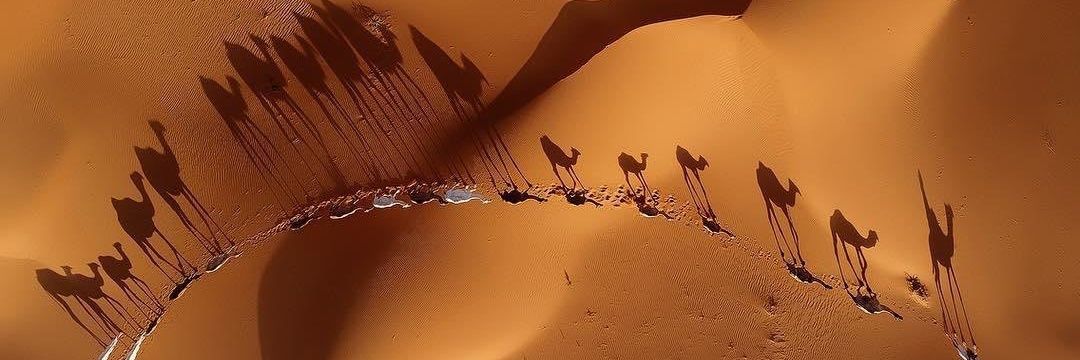 asalmhmadi's profile banner image