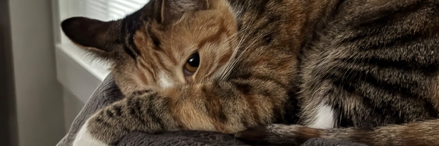 MichelleMichal2's profile banner image