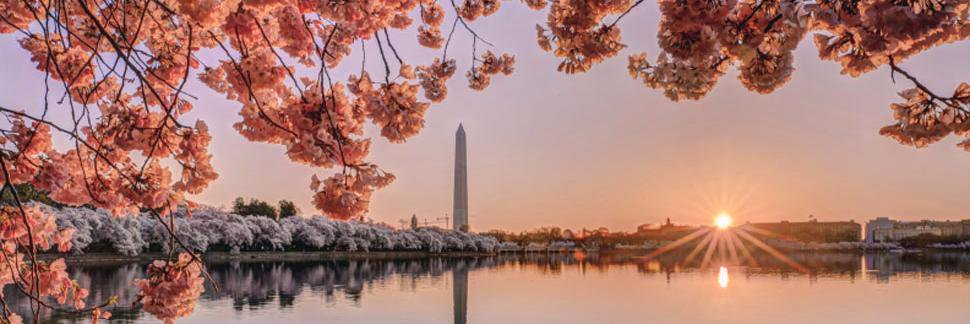 Apra Metro DC banner
