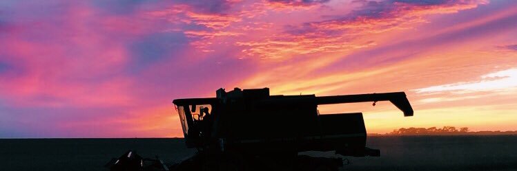 MasonBailey59's profile banner image