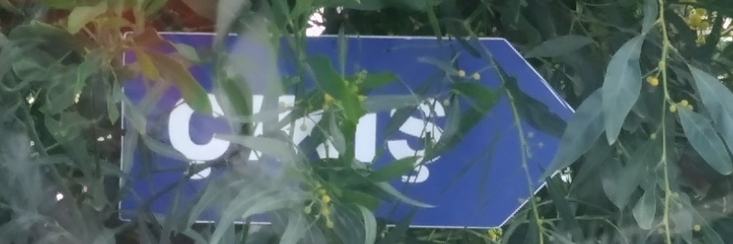 dagkerdem's profile banner image