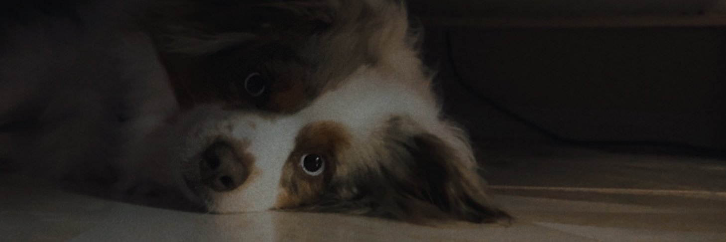 itsphinguyen's profile banner image
