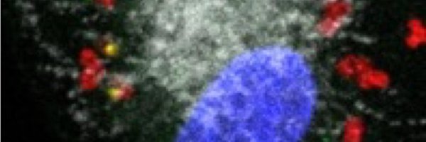 InnaSCo1 Profile Banner