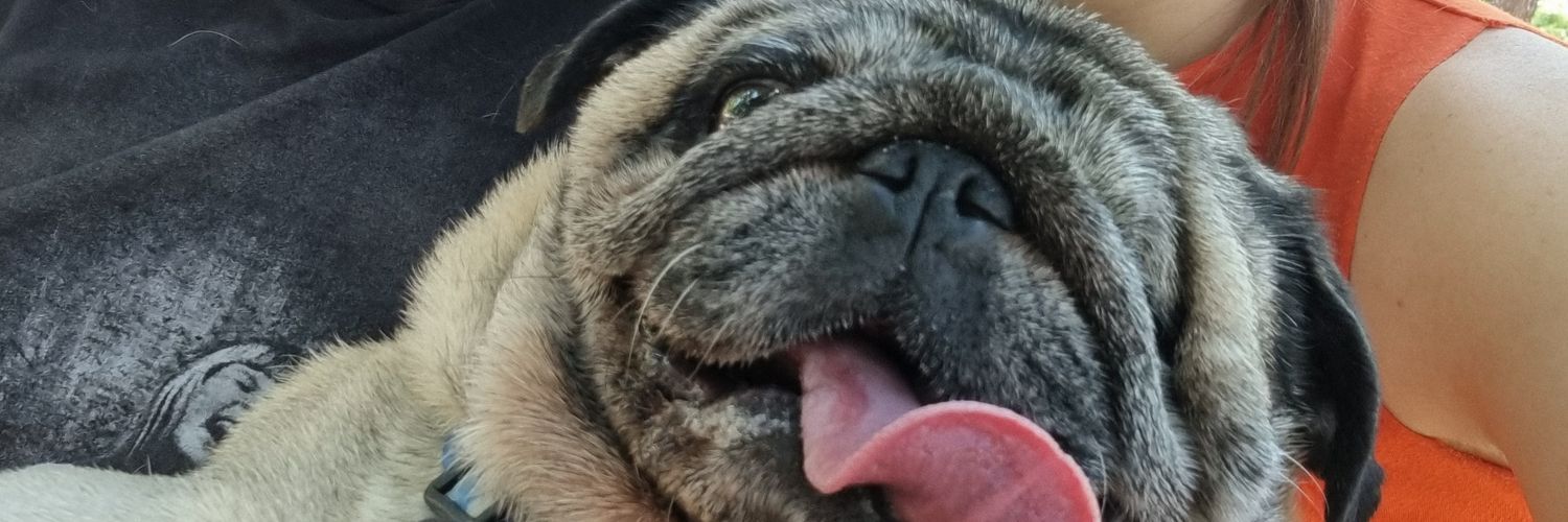 LuisiBenito's profile banner image