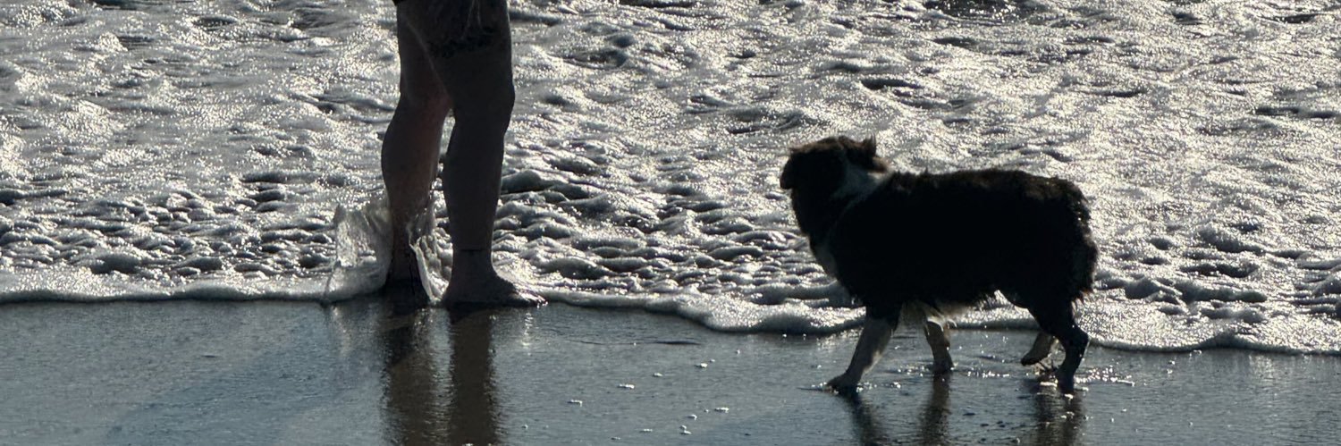 Alexis Nicole banner