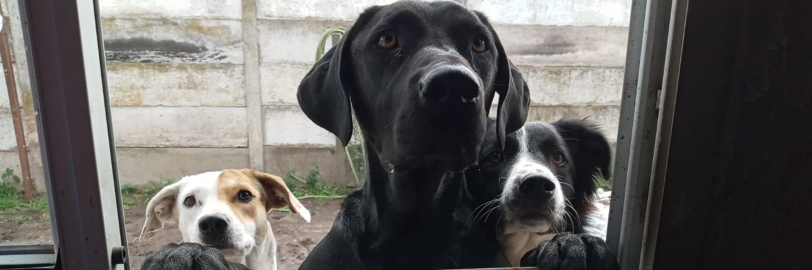 rojasmaxi6's profile banner image