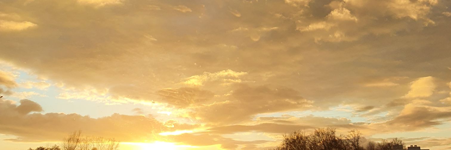 TPlehan's profile banner image