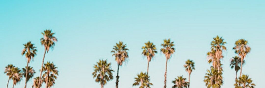 Julie Willmon banner