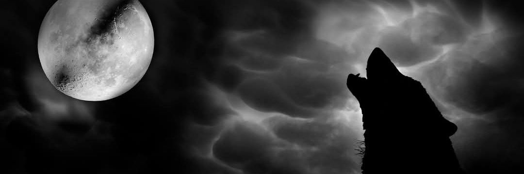 Lucia Gradilone Art banner