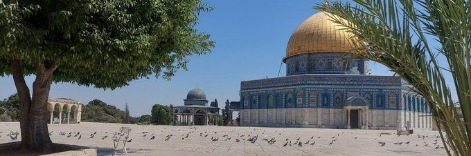 الله أكبر ◇معاذ◇الحمد لله🇪🇬🇸🇦🇾🇪 banner