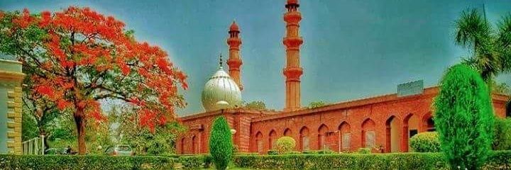 HaqAlig's profile banner image