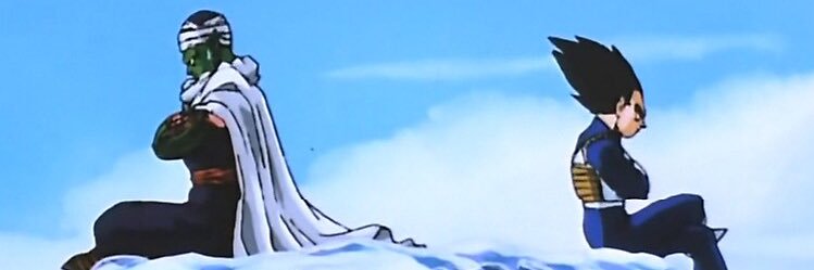 H's banner