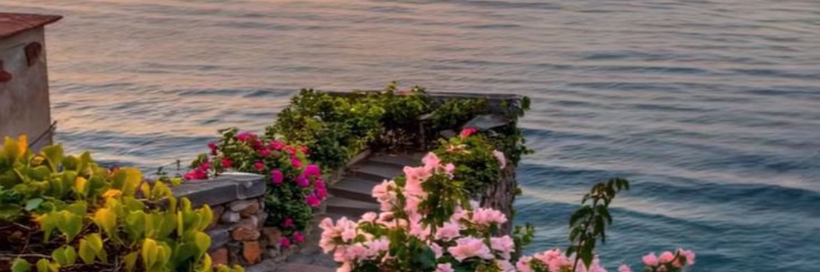rmys58's profile banner image