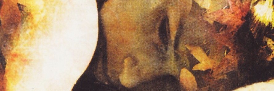 MonicadePablo's profile banner image