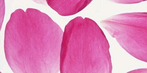 kejjong's profile banner image