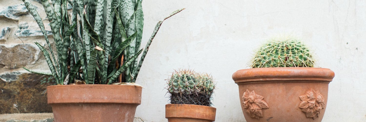 maggietehan's profile banner image
