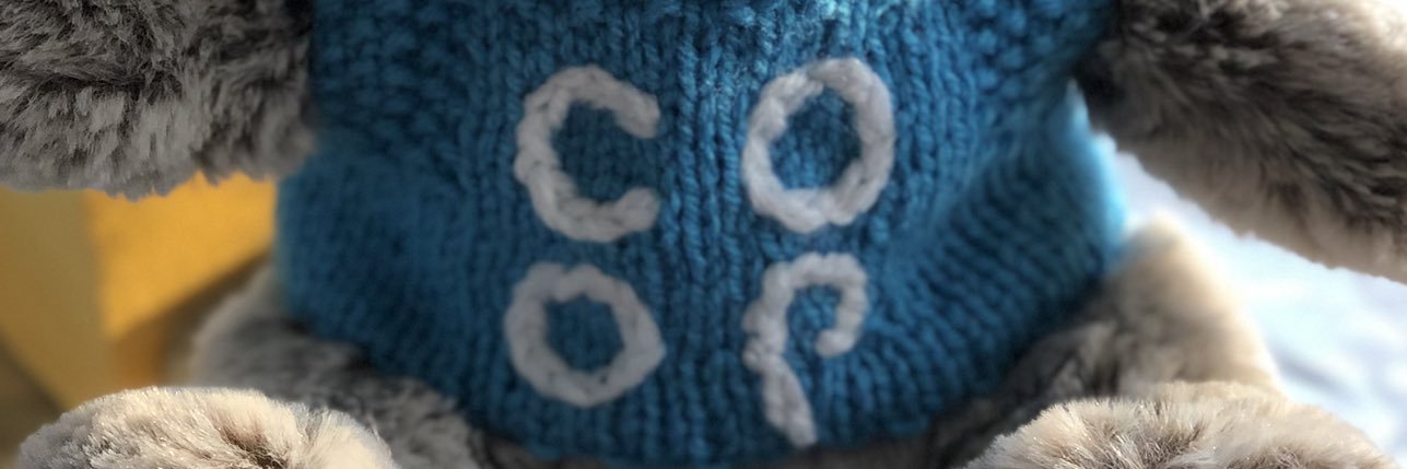 bear_coops's profile banner image