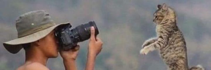 sichilena's profile banner image