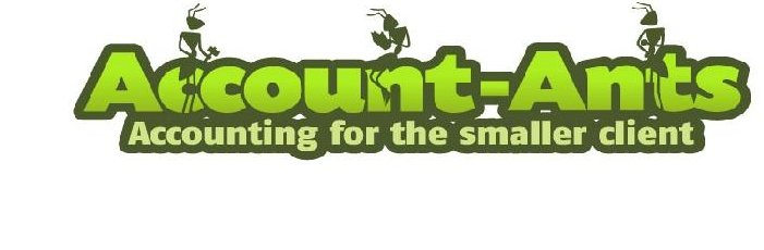 Account-Ants banner