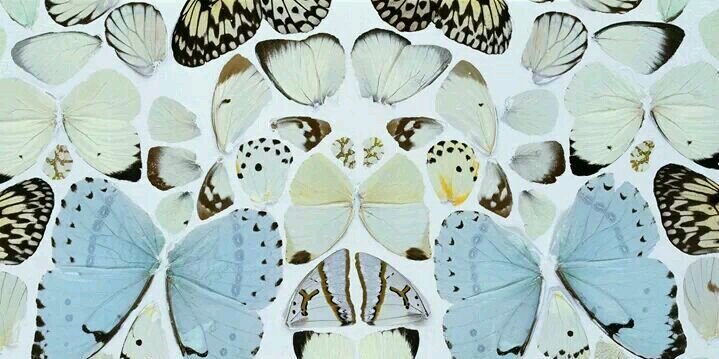 _katysaunders's profile banner image
