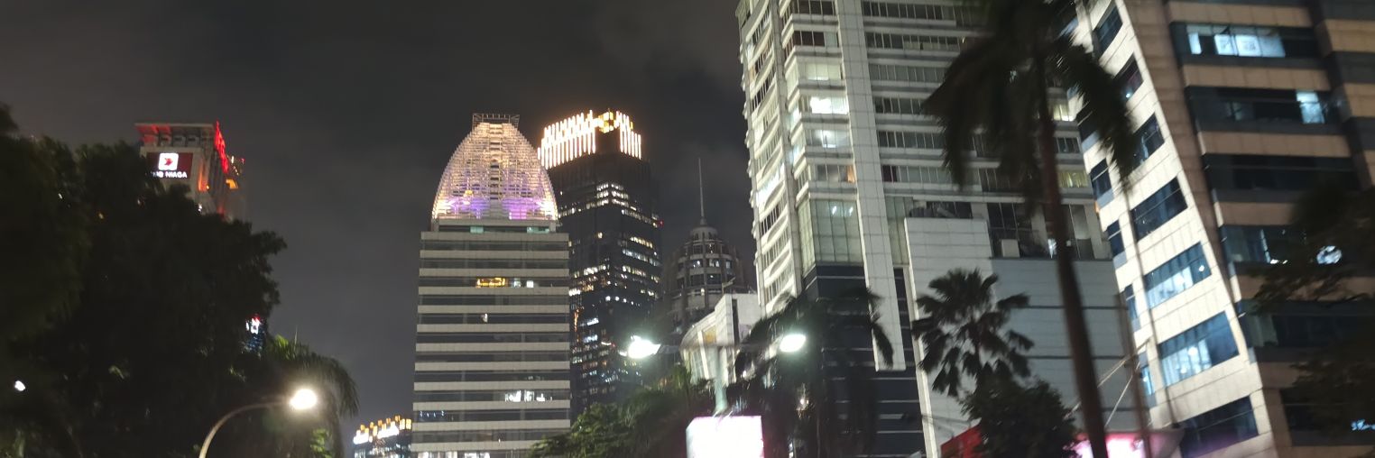 Vina Septyani banner