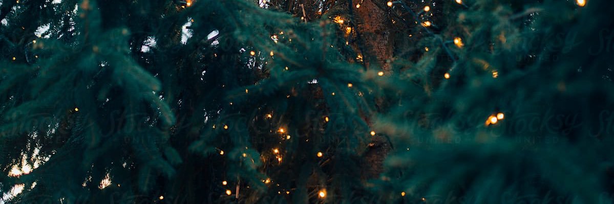 riskingtheheart's profile banner image
