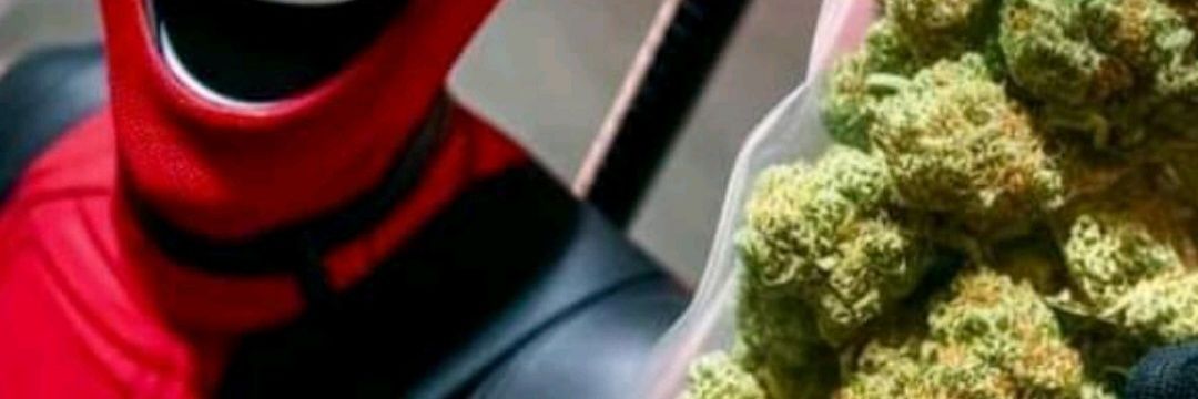 ACTIVO VERGON 😎🔥 banner