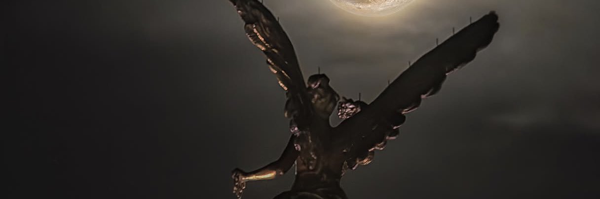 cafzasa's profile banner image