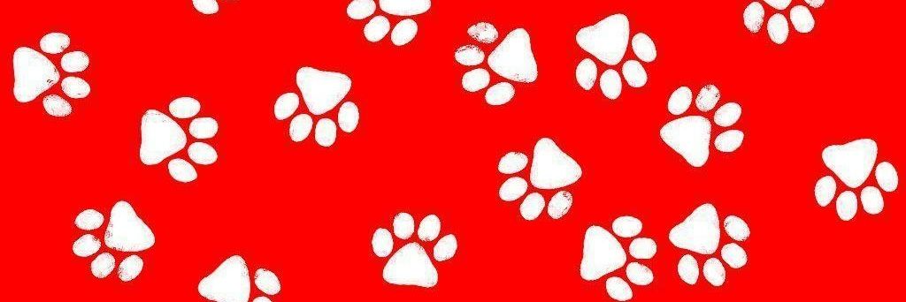 RustyRedPup's profile banner image