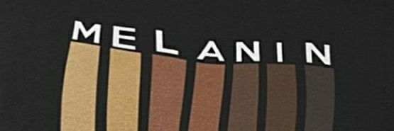 Melanin Monroe banner