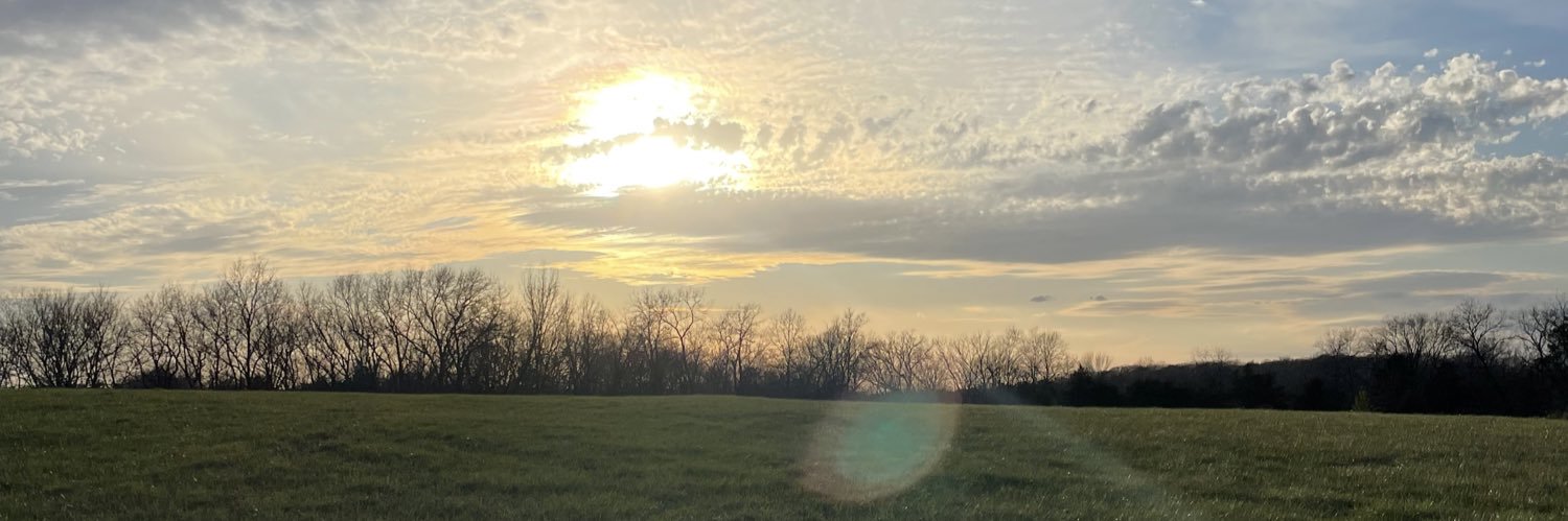LissyChristina's profile banner image