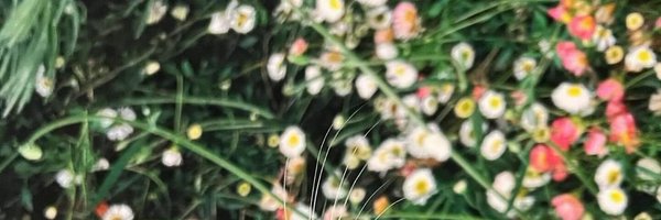 myyoungmin25 Profile Banner