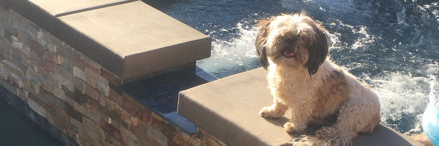 tedsfriend_'s profile banner image